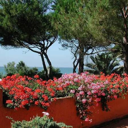 Duna Villa